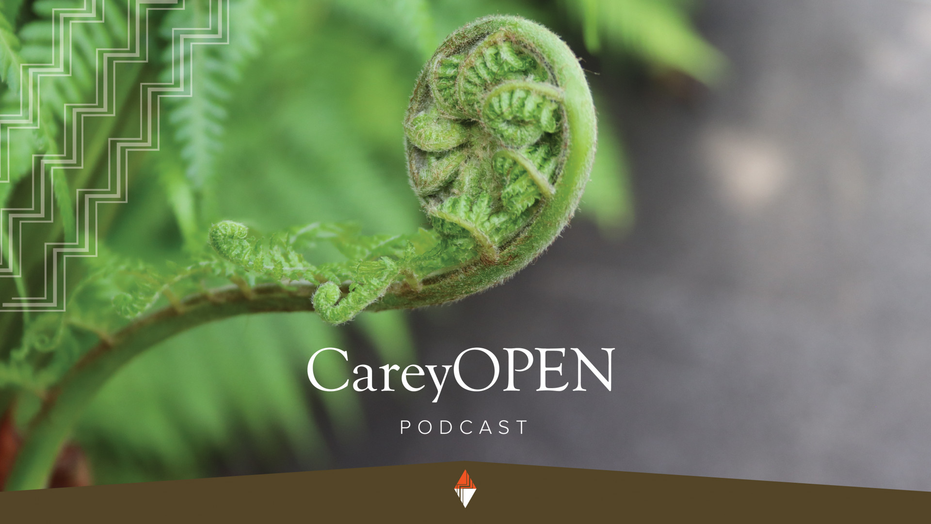 Sarah Beisley: Chasing God’s Kingdom Image
