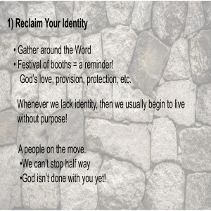 Reclaim your Identity Image